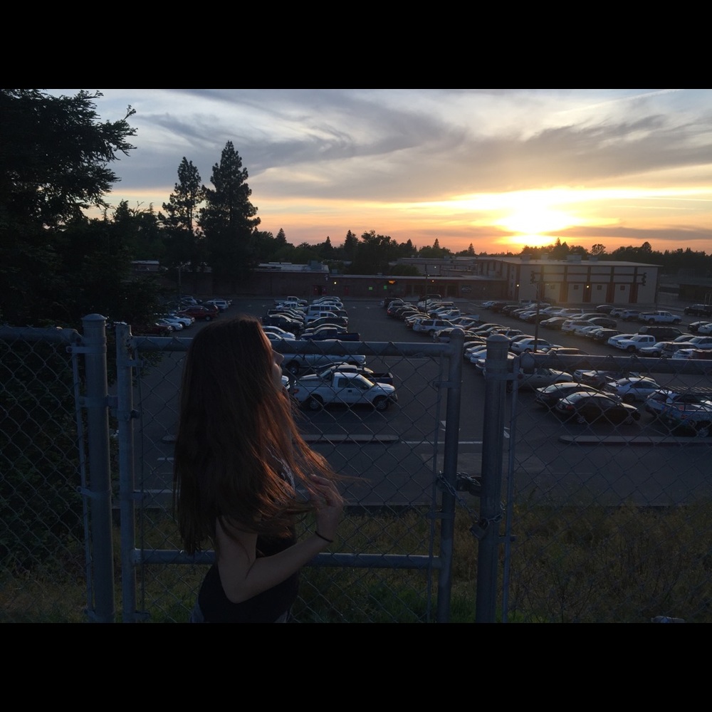 Meet your Posher, Bella